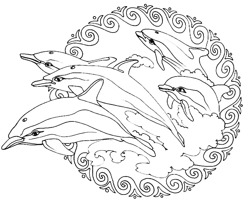 Delfines mandala saltando fuera del agua (Animales)