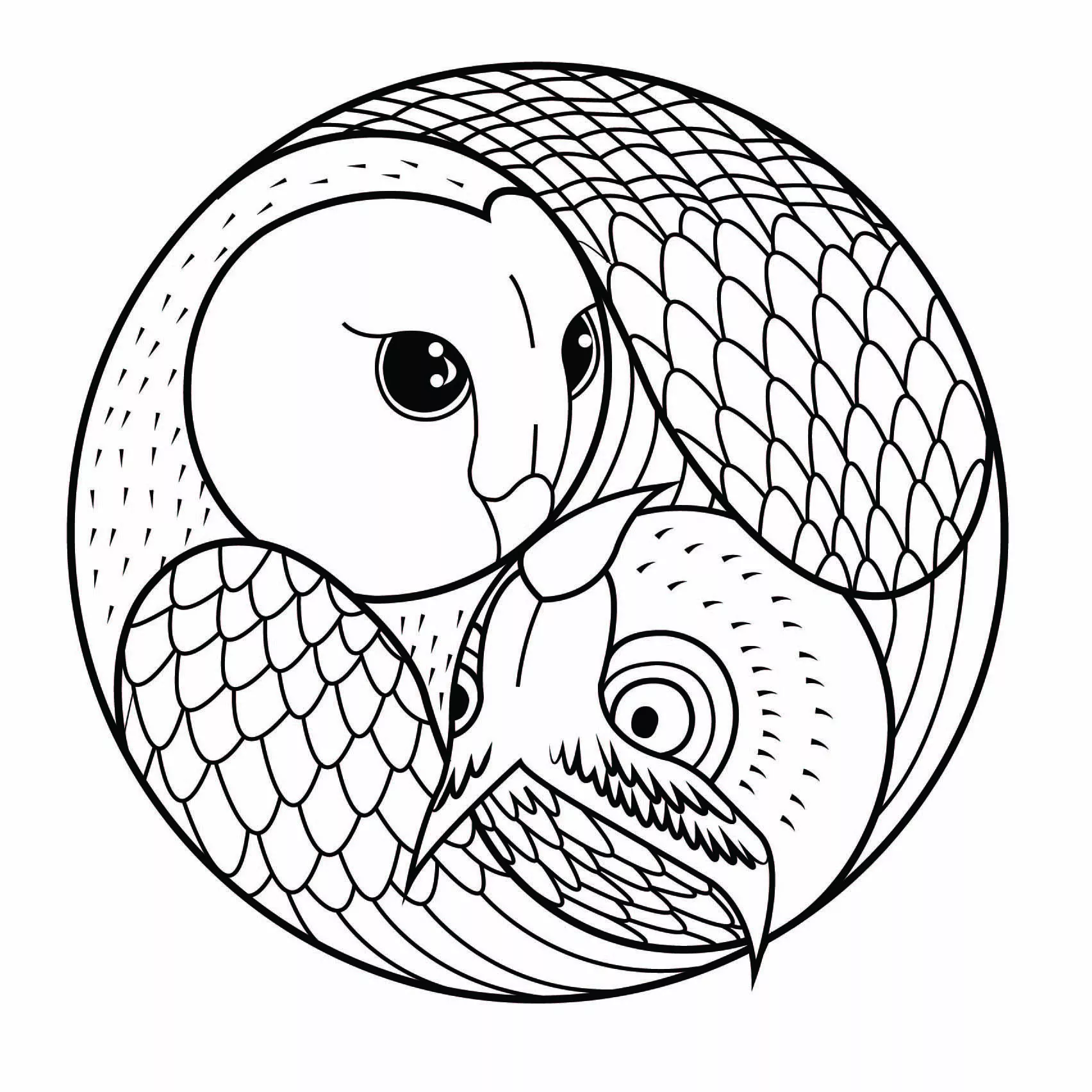 Mandala del búho (Animales)