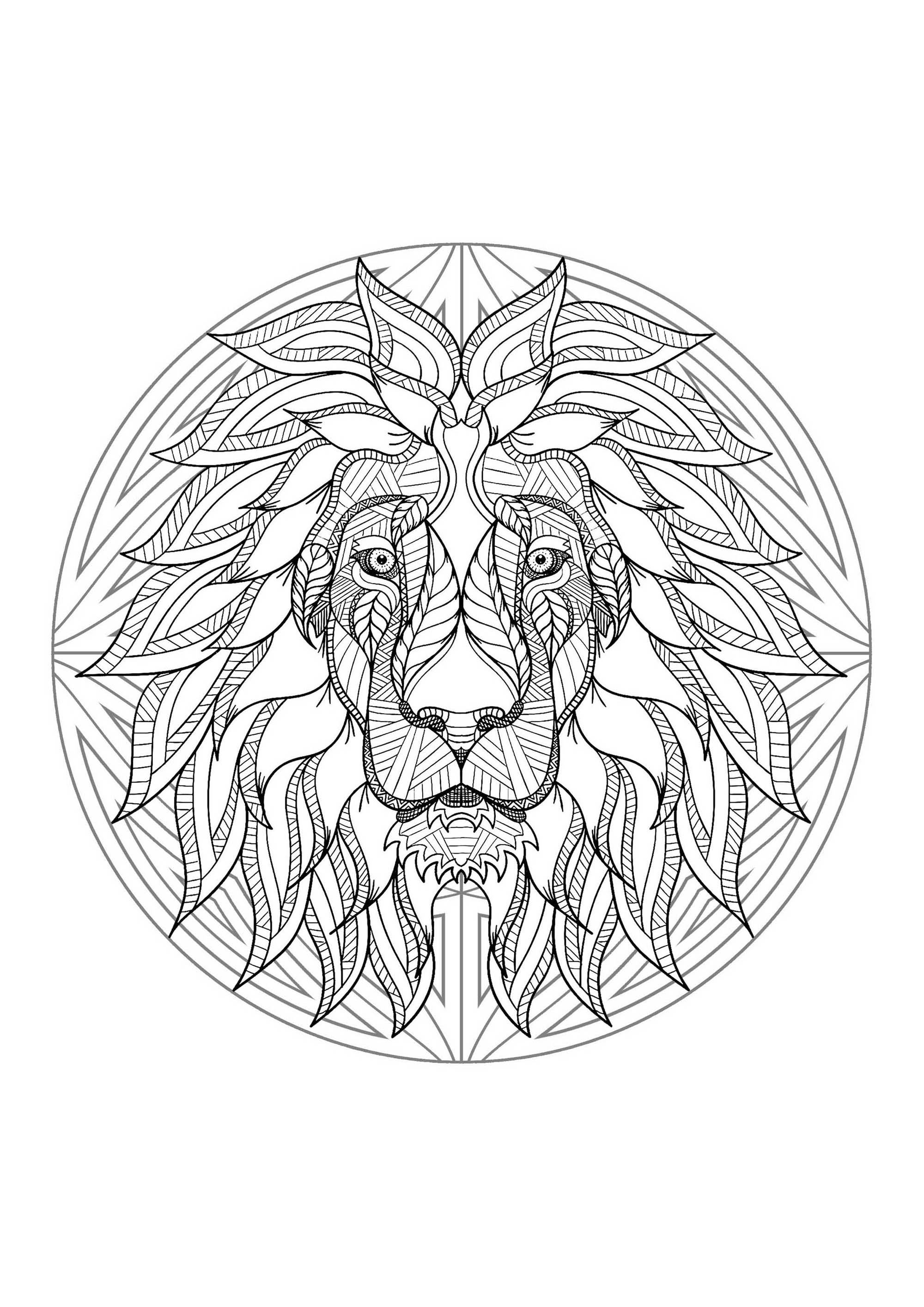 Animales : Mandala cabeza de león - 4 Animales : Mandala cabeza de león - 4