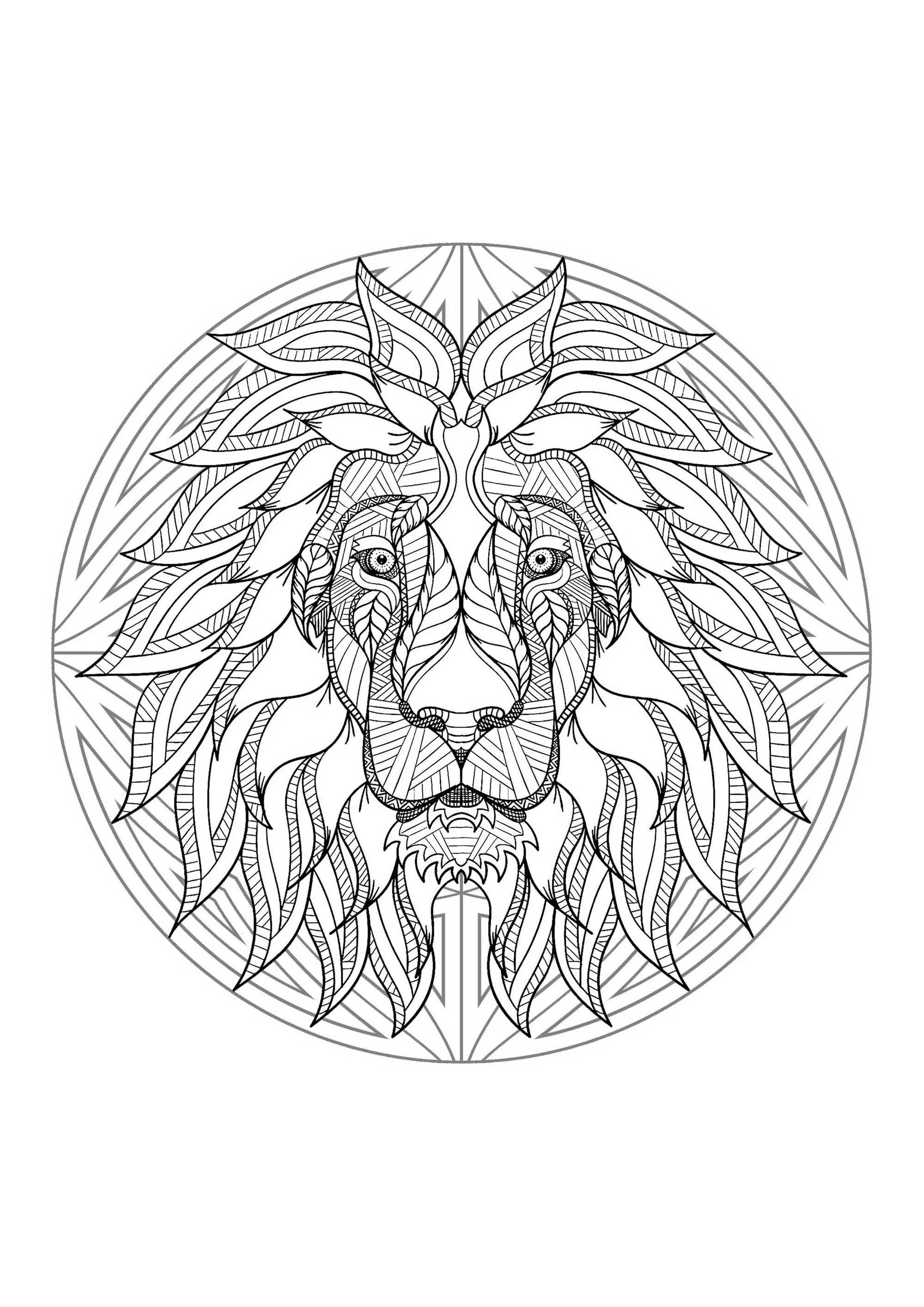 Mandala cabeza de león - 4 (Animales)