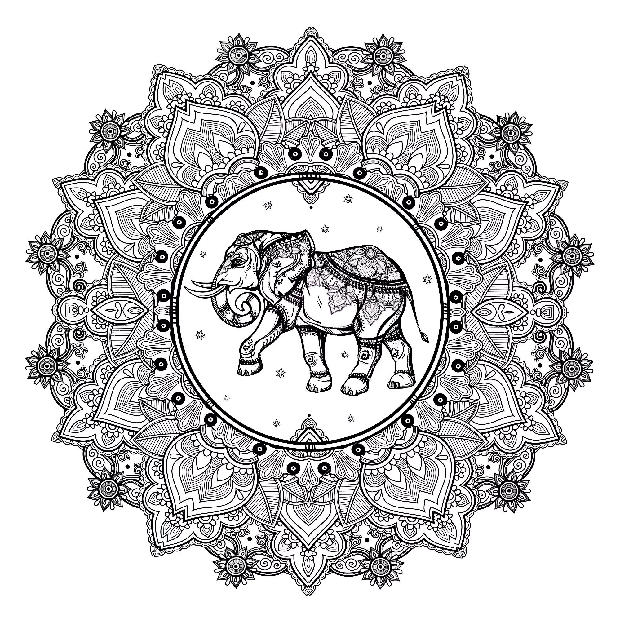 Mandala complejo del elefante (Animales)