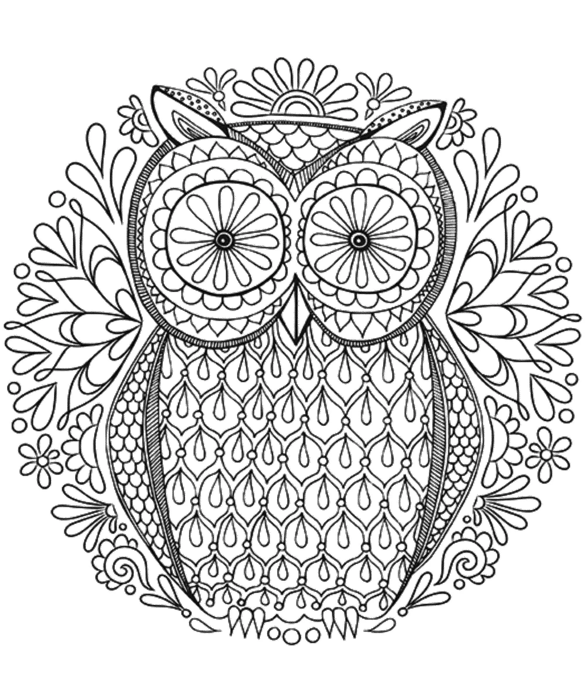 Mandala gratuit hibou (Animales)