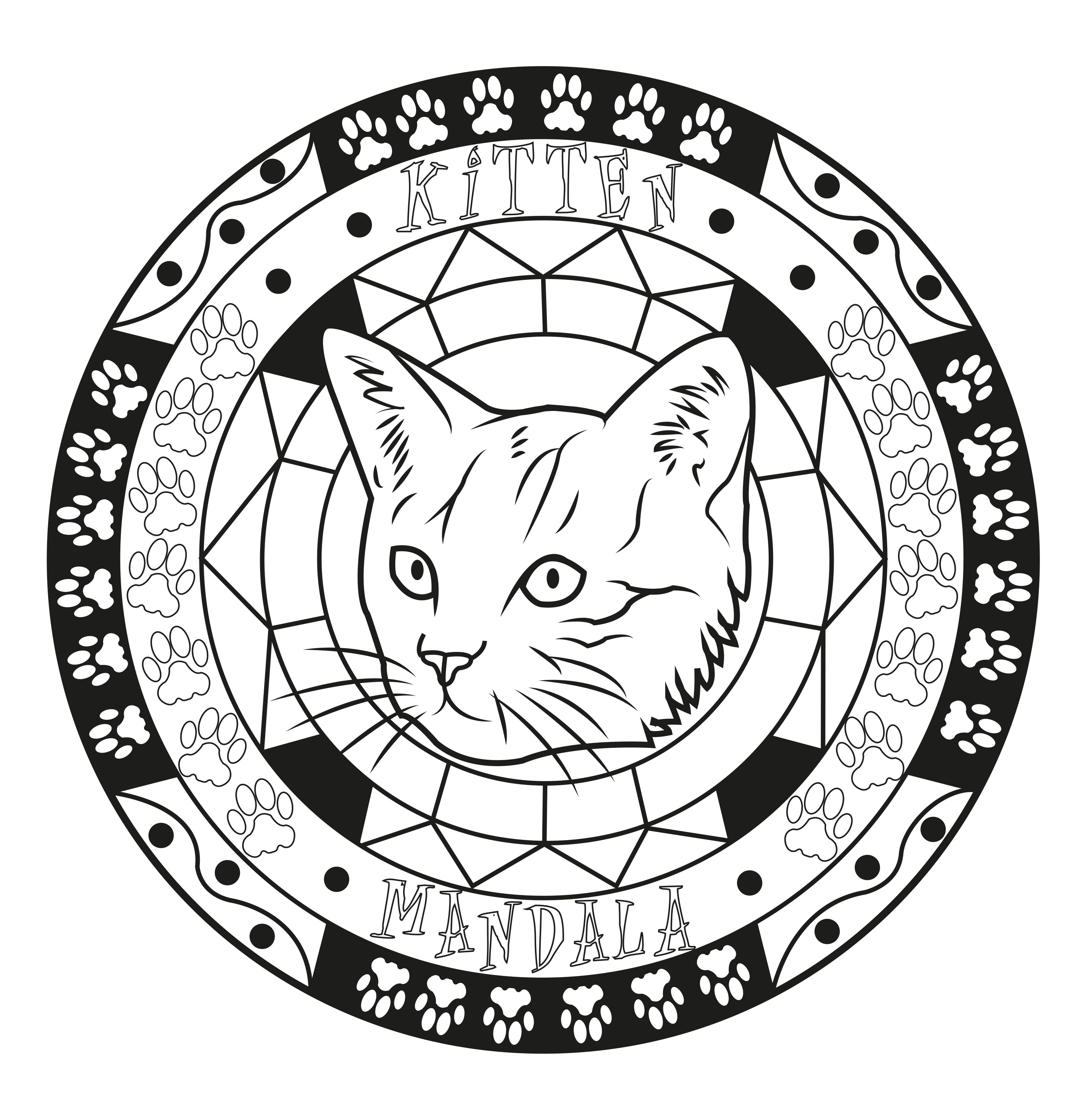 Animales : Mandala pequeño con cabeza de gato Animales : Mandala pequeño con cabeza de gato