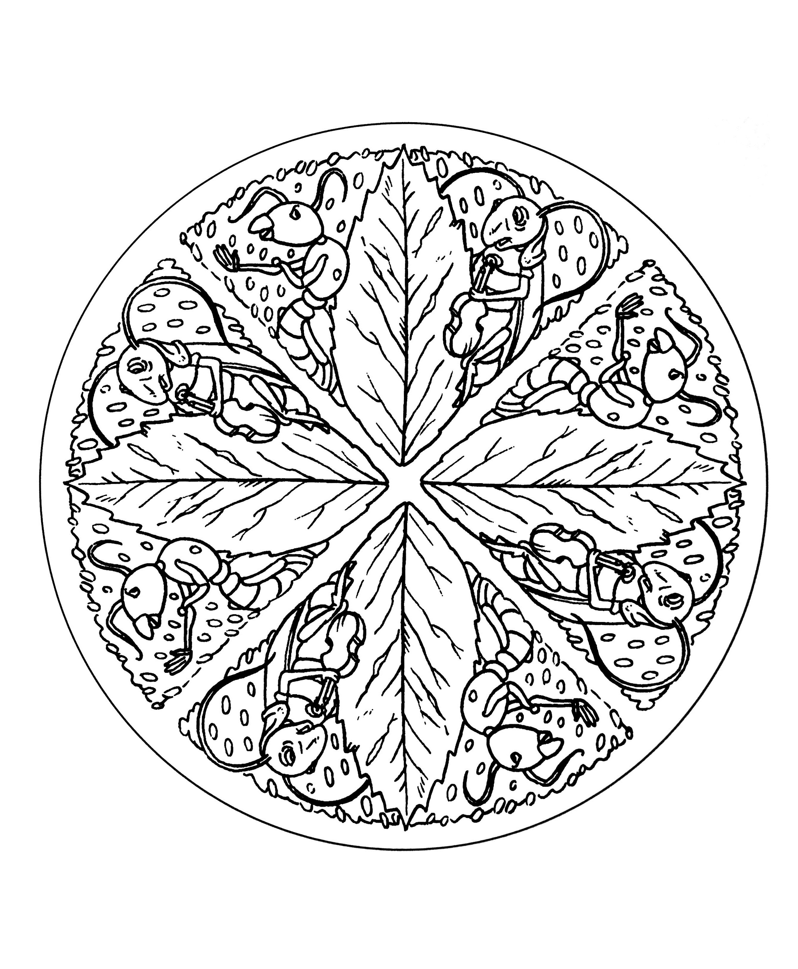 Mandala de hojas y hormigas (Animales)