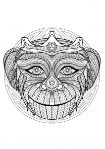 Mandala cabeza de mono - 2 (Animales)