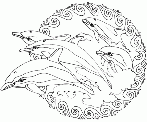Delfines Mandala Saltando Fuera Del Agua