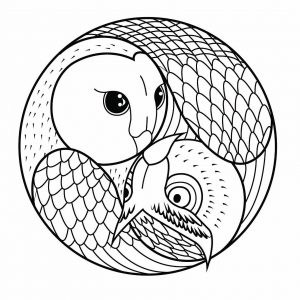 Mandala Del Búho