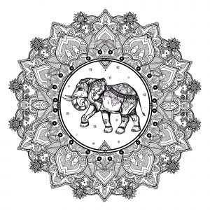 Mandala Complejo Del Elefante
