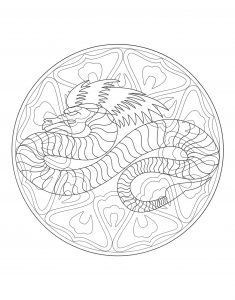 Mandala dragón   4