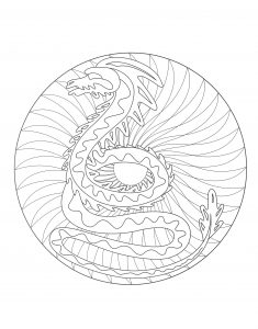 Mandala dragón   2