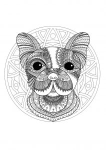 Mandala Cabeza De Perro   1