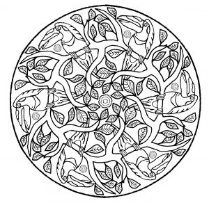 Mandala Perroquet