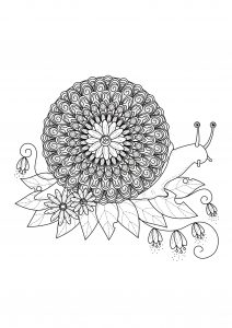 Mandala Escargot