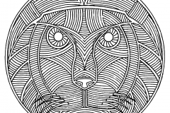 Mandala Colorear Adulto Difícil  10 