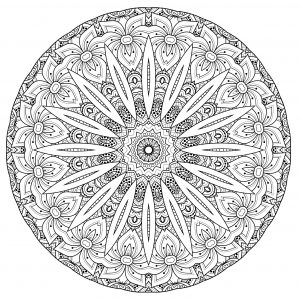 Magnífico mandala floral