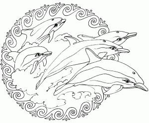 Mandala Delfines
