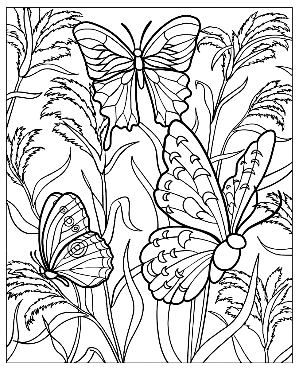 Colorear-mariposas-adultos-plantas (Insectes)