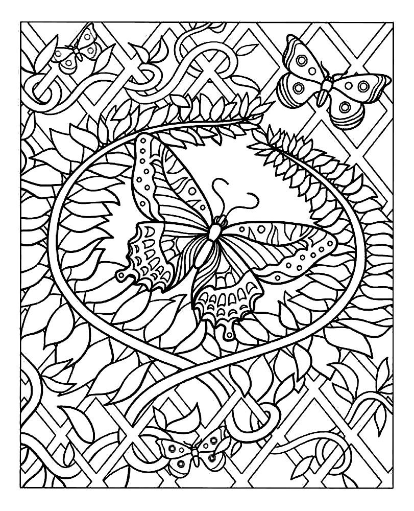 Colorear-dificultad-plantas-mariposas (Insectes)