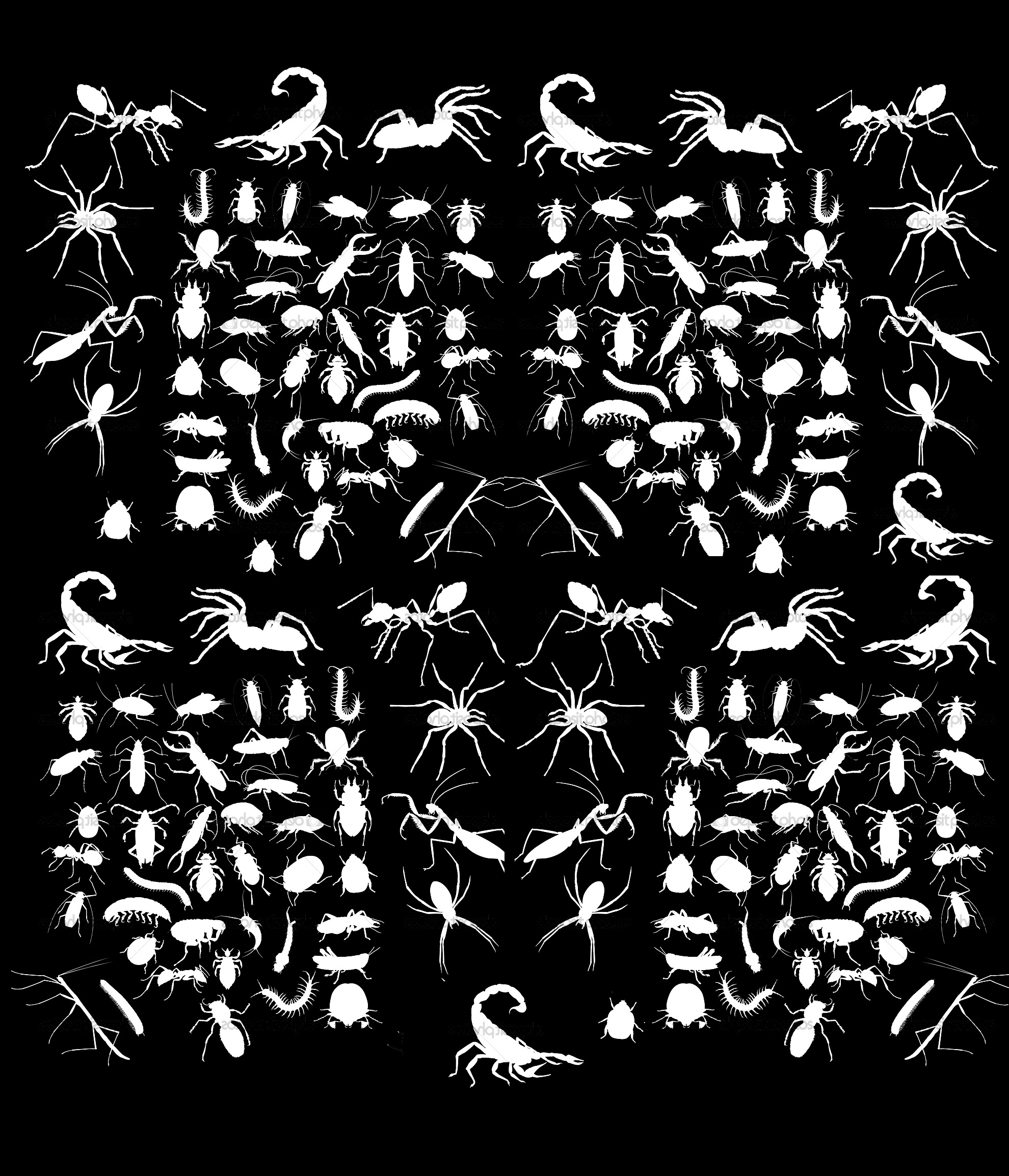 Coloración-difícil-blanco y negro (¡Descubre nuestros Mandalas gratis!)