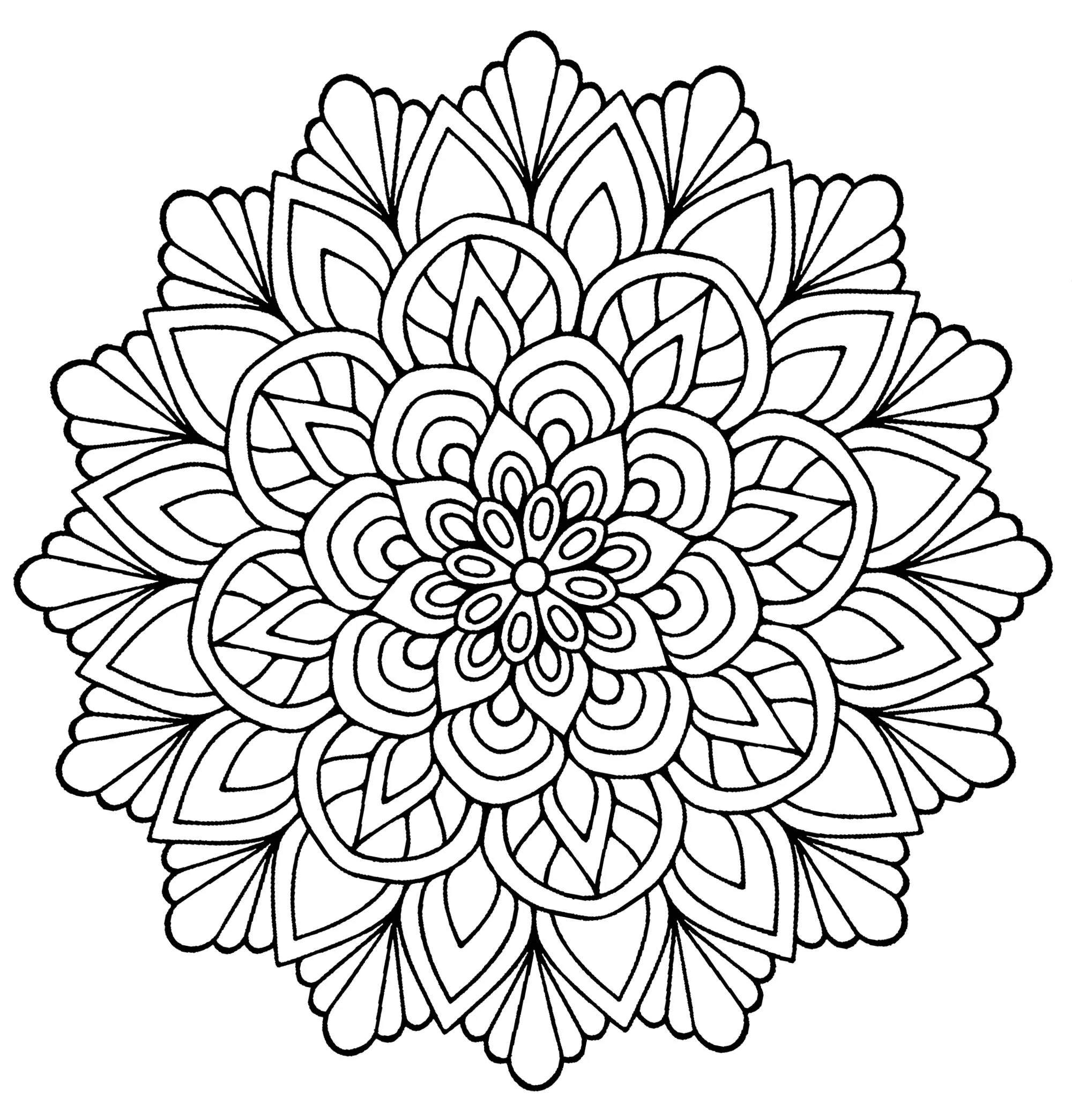 Mandala floral sencillo (Flores y vegetación)