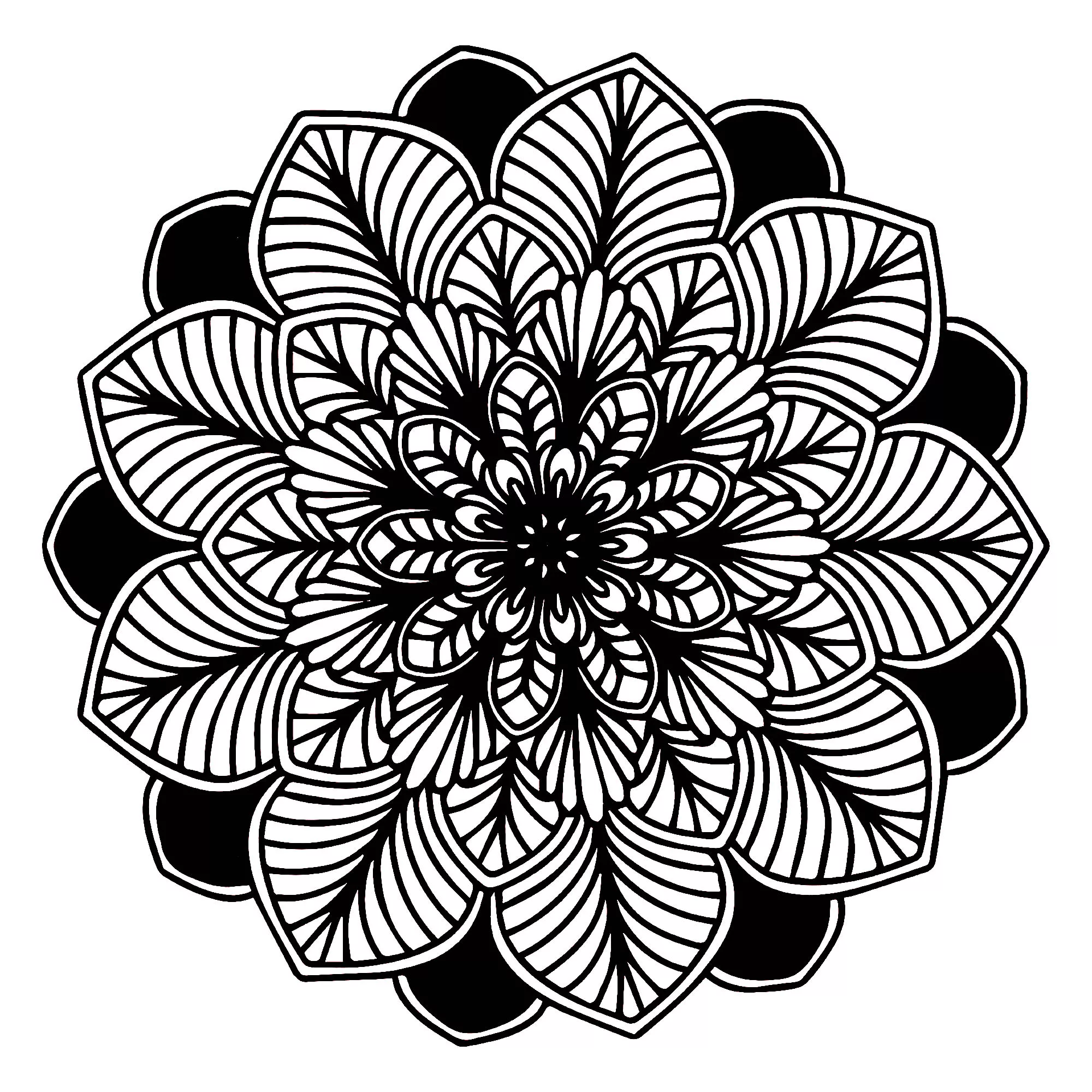 Mandala hojas blanco y negro (Flores y vegetación)