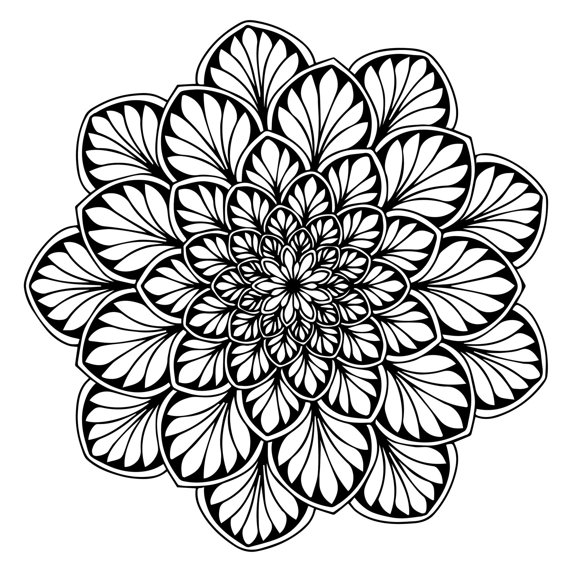 Flores y vegetación : Un mandala de plantas armonioso Flores y vegetación : Un mandala de plantas armonioso