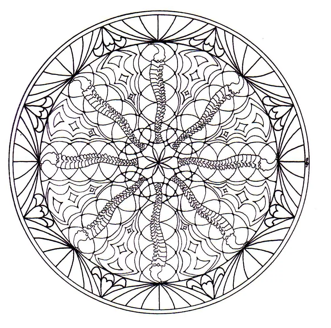 Armonía y vegetación (Flores y vegetación)