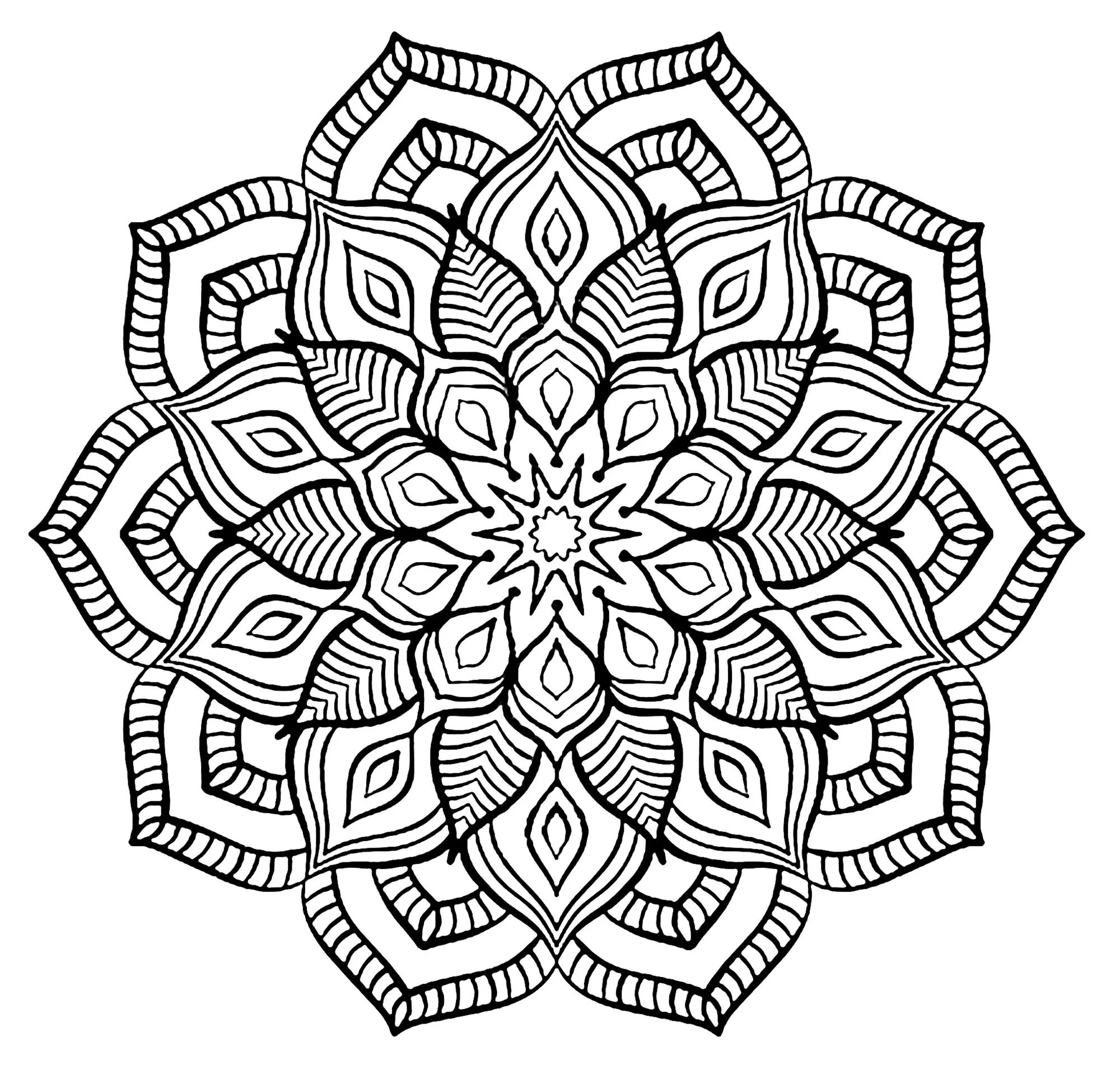 Un mandala florido en un estilo muy especial (Flores y vegetación)
