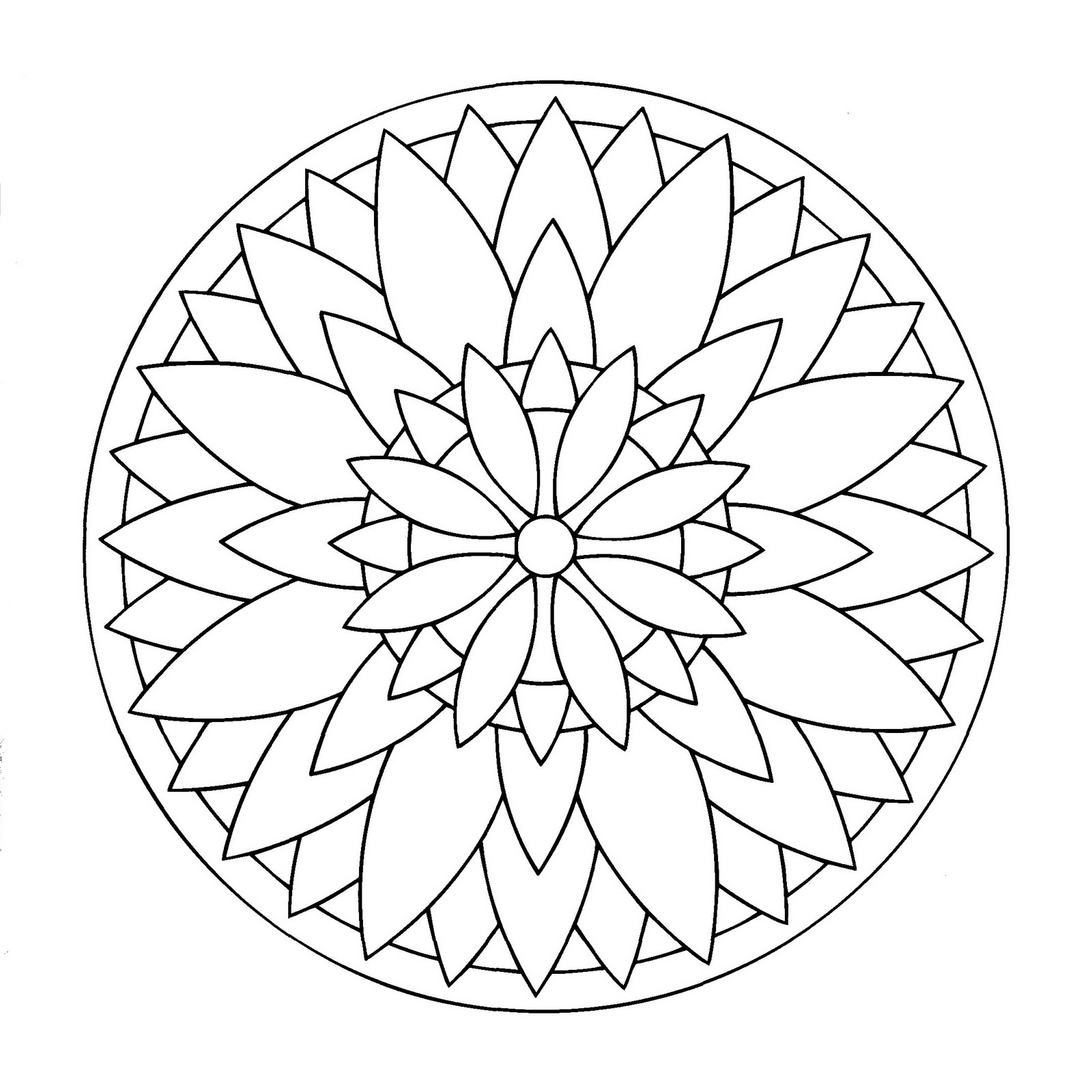 Cuando el mundo vegetal se funde perfectamente con un Mandala, el resultado es tan sencillo, ¿no es magnífico? Al final, este Mandala representa una flor con pétalos regulares y elegantes.