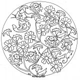 Flores y hojas en un hermoso mandala (Flores y vegetación)