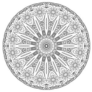 Mandala de alta calidad