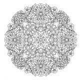 Flores mandala con pétalos grandes (Flores y vegetación)