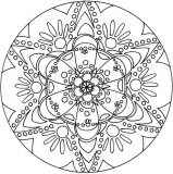 Mandala de la flor de la estrella (Flores y vegetación)