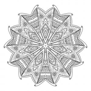 Mandala abstracto con hojas (Flores y vegetación)