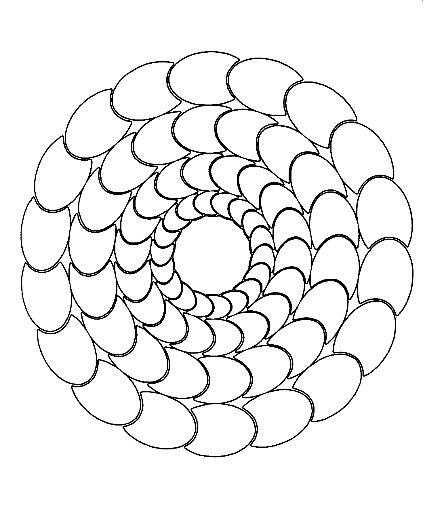 Mandala conchas pequeñas (Zen & Antistress)