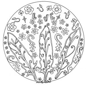 Mandala Con Plumas